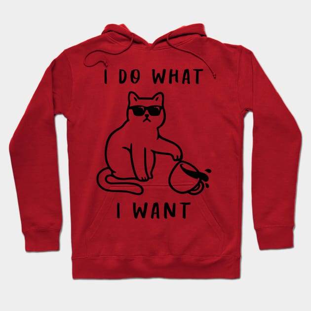 I Do What I Want Hoodie by lilmousepunk